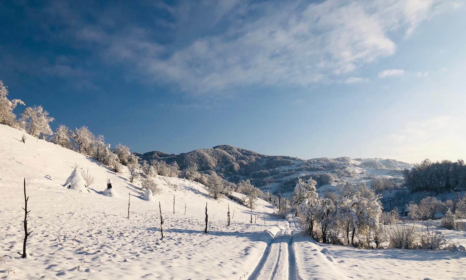 Drumeții de iarnă în Munții Gutâi
